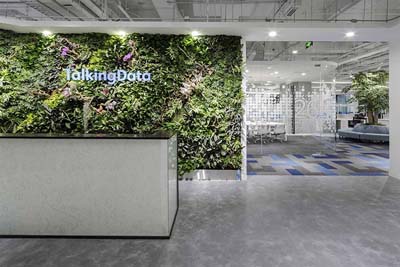 騰云天下 騰云天下